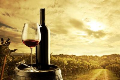 Barossa Valley Cellar Doors Luxury Wine Tour