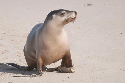 Excursión de dos días en 4x4 para grupos pequeños por la Isla de 