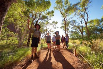 Excursión para grupos pequeños a Uluru con vistas del atardecer