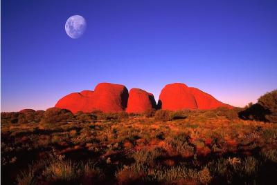 Kata Tjuta Tarde Walpa Gorge Tour Kata Tjuta Tarde Walpa Gorge Tour