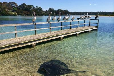 Lugares turísticos en Batemans Bay Cosas que hacer en Batemans Bay 172982