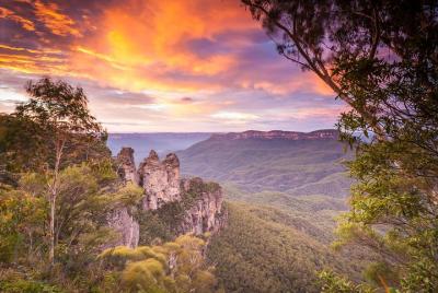 El mejor tour privado de Blue Mountains que incluye Scenic World  El mejor tour privado de Blue Mountains que incluye Scenic World