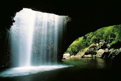 Tour por el puente natural y las cascadas de Springbrook Tour por el puente natural y las cascadas de Springbrook