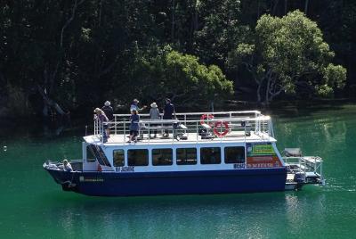 Crucero ecológico por el río por la mañana