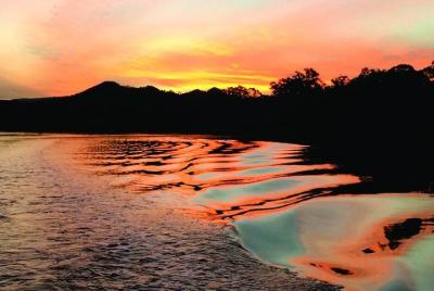 Cabezas de Brunswick Sunset Rainforest Eco-Cruise