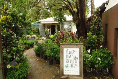 Más allá de Byron Hinterland Tour