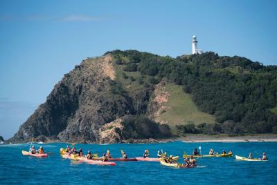 Recorrido guiado en kayak con delfines en Byron Bay