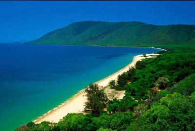 Cairns Reef y Rainforest Combo: Daintree Rainforest y la Gran Bar Cairns Reef y Rainforest Combo: Daintree Rainforest y la Gran Bar