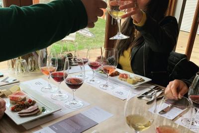 Experiencia de cata de vinos privada de día completo con almuerzo Experiencia de cata de vinos privada de día completo con almuerzo