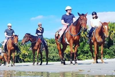 Paseo a caballo por la playa a media mañana en Cape Tribulation con Pick Up Paseo a caballo por la playa a media mañana en Cape Tribulation con Pick Up