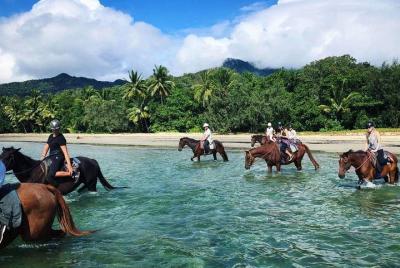 Paseo a caballo por la tarde en la playa en Cape Tribulation Paseo a caballo por la tarde en la playa en Cape Tribulation