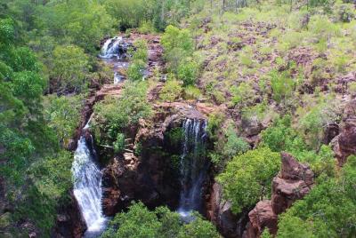 Crucero de cocodrilos saltarines y parque natural de Berry Spring