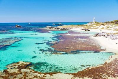 Excursión de un día a Bayseeker en la isla de Rottnest desde Frem