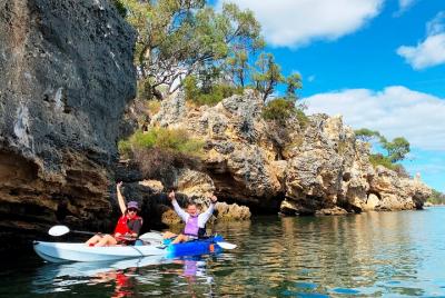 Tour en kayak por acantilados y cuevas en el río Swan