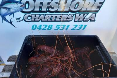 Tour de pesca de langosta en Geraldton