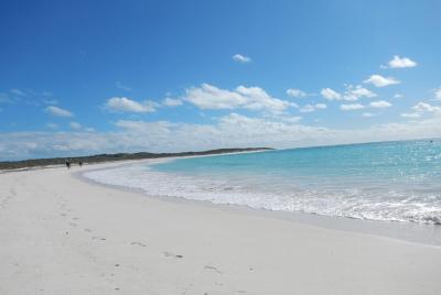 Tour de naturaleza especial de naufragio / Tour de medio día