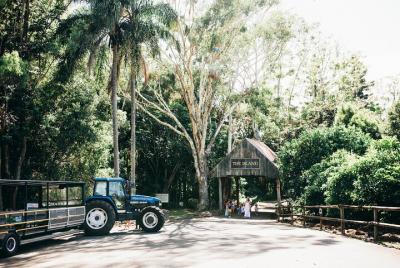 Tour completo de Tropical Fruit World Farm Tour completo de Tropical Fruit World Farm