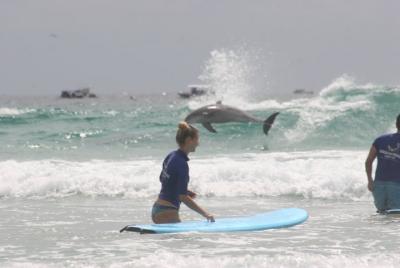 Aventura definitiva para aprender a surfear de 3,5 horas Aventura definitiva para aprender a surfear de 3,5 horas