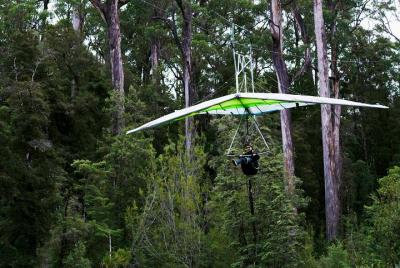 Excursión de un día al monte Wellington, Huon Valley y Tahune Air