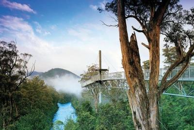 Recorrido aéreo por el monte Wellington y Tahune desde Hobart con