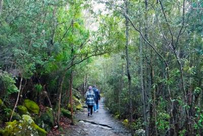 kunanyi / Mt Wellington Explorer Bus: recorrido de ida kunanyi / Mt Wellington Explorer Bus: recorrido de ida