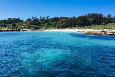 Tour por el pasaje de Jervis Bay Tour por el pasaje de Jervis Bay