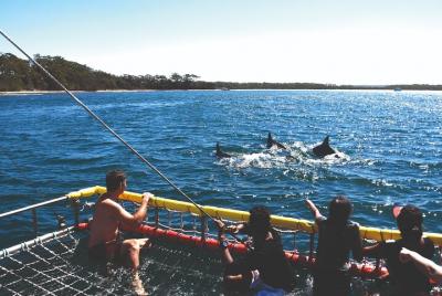 Tour de delfines y redes de Jervis Bay Boom Tour de delfines y redes de Jervis Bay Boom