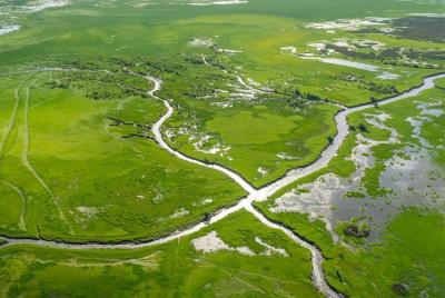 Vuelo panorámico de 60 minutos desde Cooinda