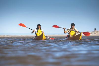 Isla canguro Kayak autoguiado en el río Harriet