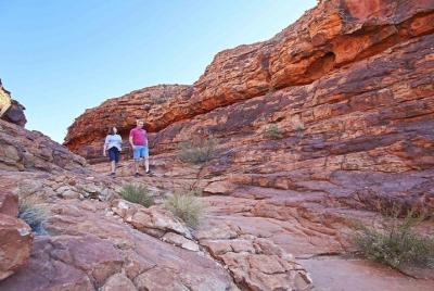 The Amazing Kings Canyon: recorrido a pie de 4 horas y caminata