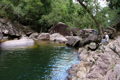 Ornitorrinco y Eco Safari en la Selva Tropical