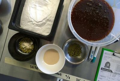 Experiencia en la elaboración de la cerveza