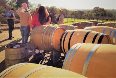 5 horas de bodegas, catas, bosque y almuerzo en Berry Farm