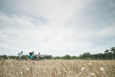 Tour de bodega y cervecería de bicicletas eléctricas