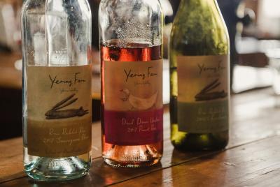 Tour de vino, burbujas y ginebra del valle de Yarra! Tour de vino, burbujas y ginebra del valle de Yarra!