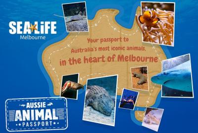 Evite las colas: entrada a SEA LIFE Melbourne Aquarium Evite las colas: entrada a SEA LIFE Melbourne Aquarium