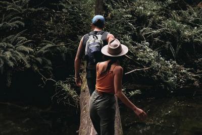 Grupo pequeño - 12 Apóstoles, Otways y Great Ocean Road Day Tour 