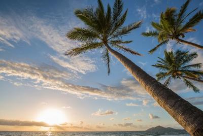 Traslado privado desde o hacia el aeropuerto de Cairns y Mission Beach Traslado privado desde o hacia el aeropuerto de Cairns y Mission Beach