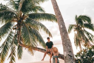TRASLADO - AEROPUERTO DE CAIRNS A PALM COVE (o marcha atrás - sol