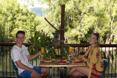 Desayuno de Hartley's Crocodile Adventures con los koalas