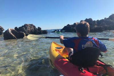 Penguin Island y Fremantle - Canoa, chocolate y café