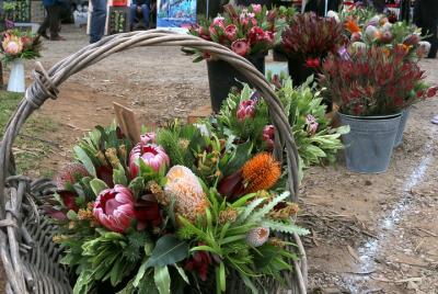 Trasbordador Mornington Peninsula Markets en barco desde Phillip 