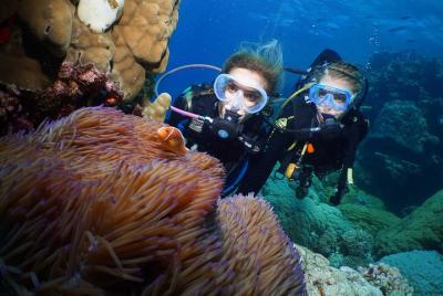 Curso de buceo PADI de 4 días Quicksilver Dive