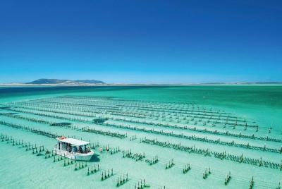 Tour de día de Coffin Bay - A Taste of Coffin Bay