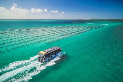 Experimente Coffin Bay Oyster Farm y Bay Tour