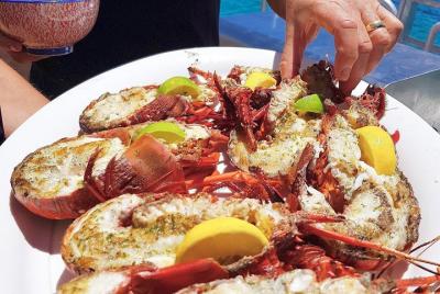 Crucero de mariscos de la isla de lujo - Isla Rottnest