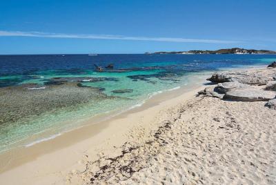 Tour a la isla de Rottnest Bayseeker