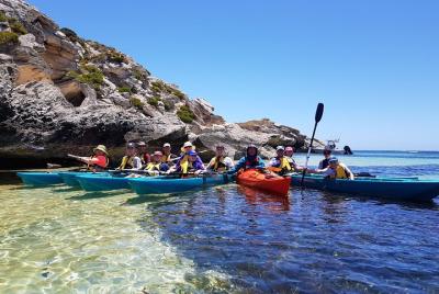Excursión en kayak con fondo de cristal Rottnest