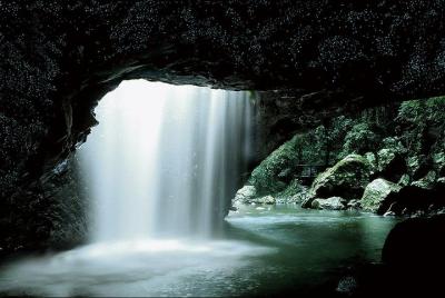 Tour nocturno por el puente natural Glow Worm desde Gold Coast Tour nocturno por el puente natural Glow Worm desde Gold Coast