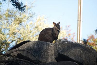 De las montañas a la bahía: 4 días de redescubrimiento en grupo p
